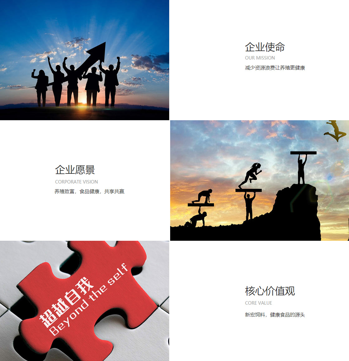 w88官网中文版(图1)